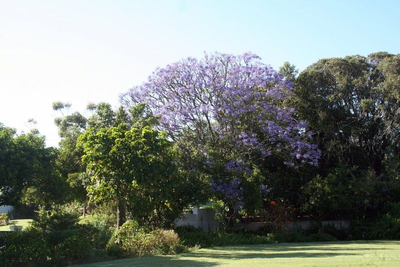 Leeuwenbosch Country House - Reserva de Amakhala Exterior foto