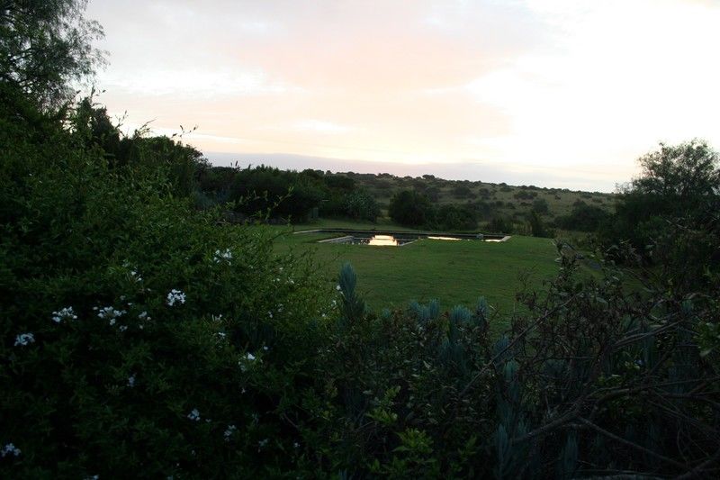 Leeuwenbosch Country House - Reserva de Amakhala Exterior foto