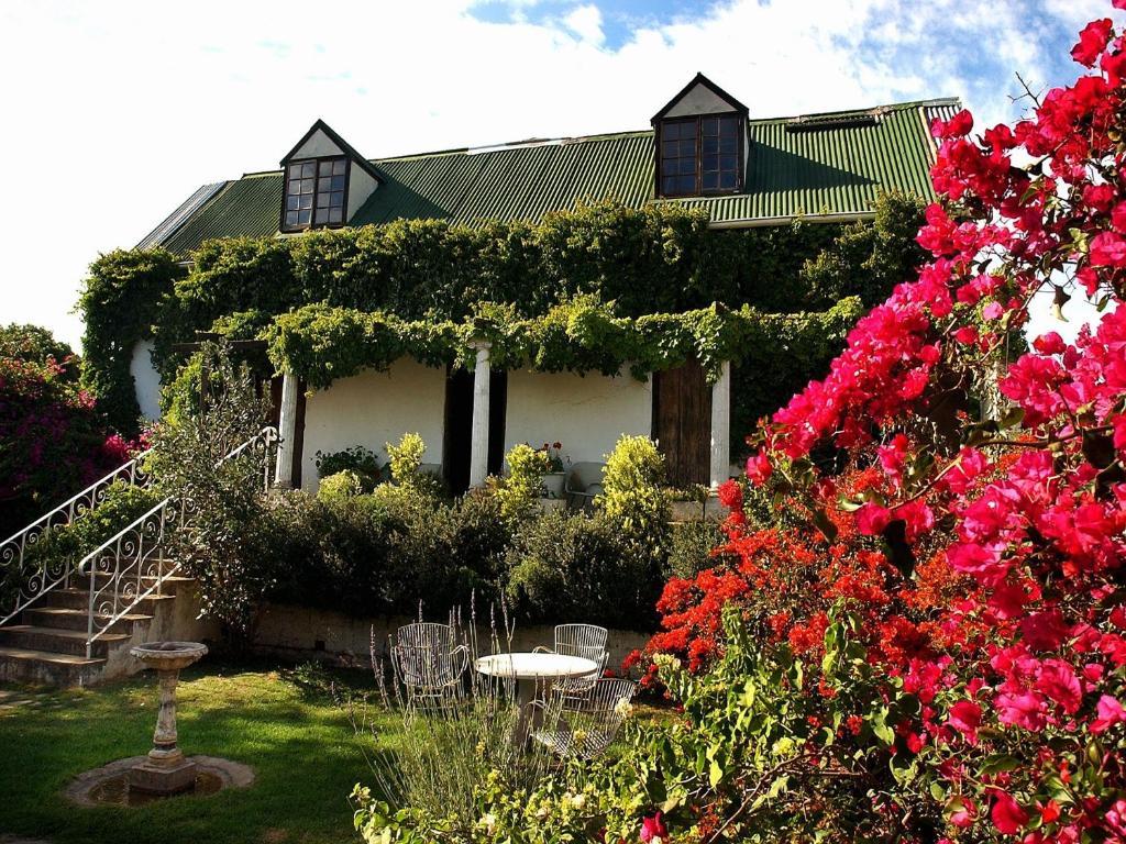 Leeuwenbosch Country House - Reserva de Amakhala Exterior foto
