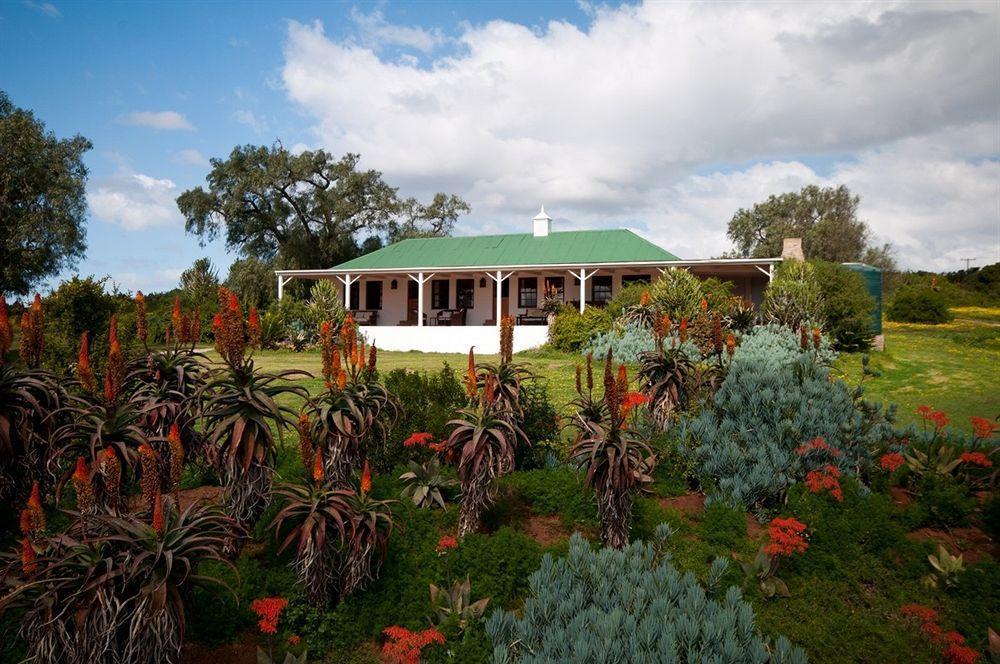 Leeuwenbosch Country House - Reserva de Amakhala Exterior foto