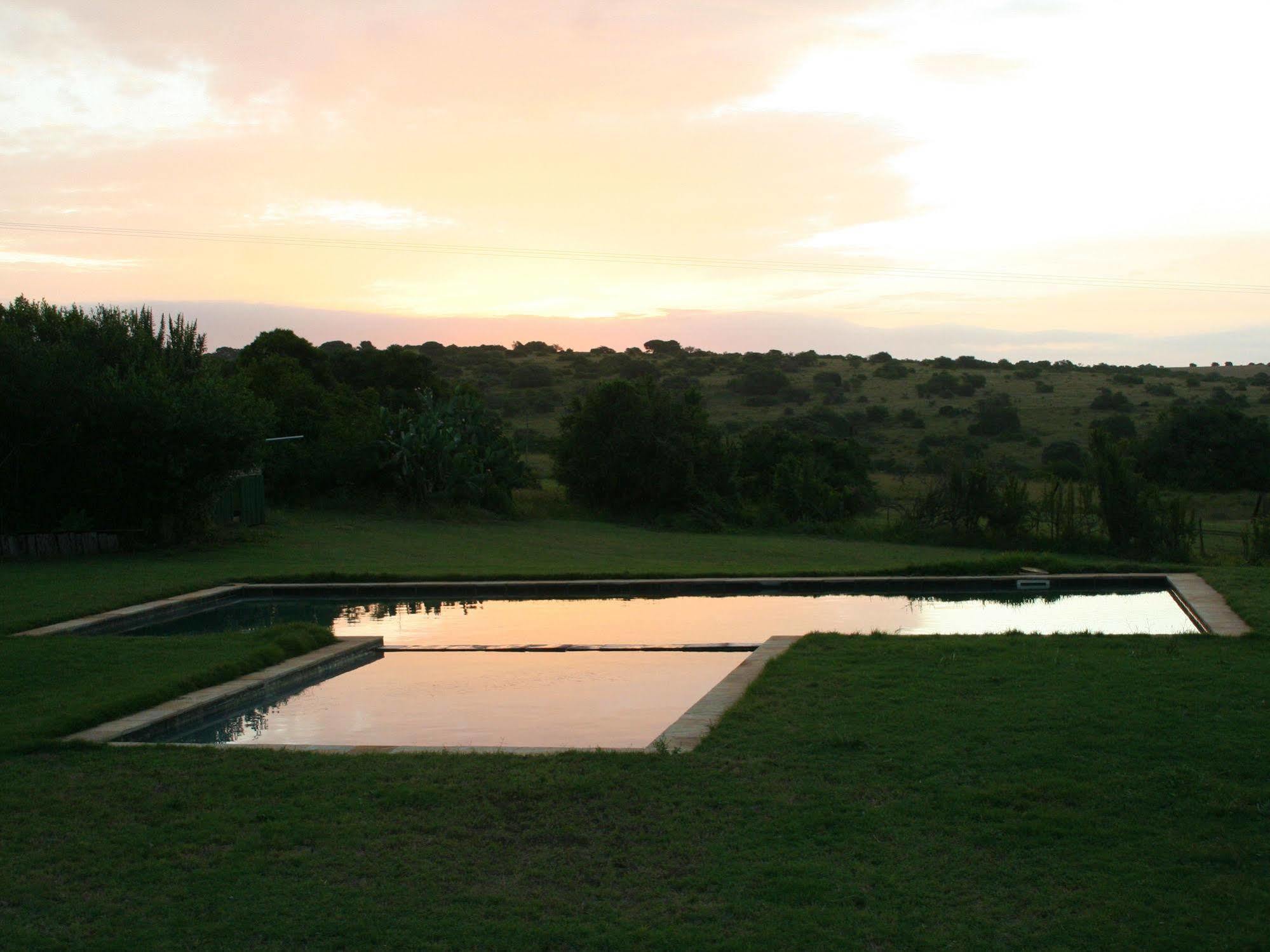 Leeuwenbosch Country House - Reserva de Amakhala Exterior foto