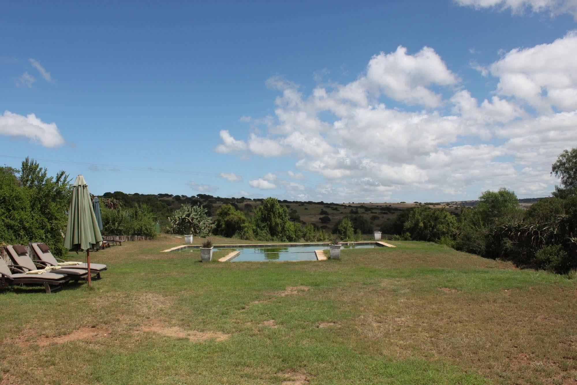 Leeuwenbosch Country House - Reserva de Amakhala Exterior foto