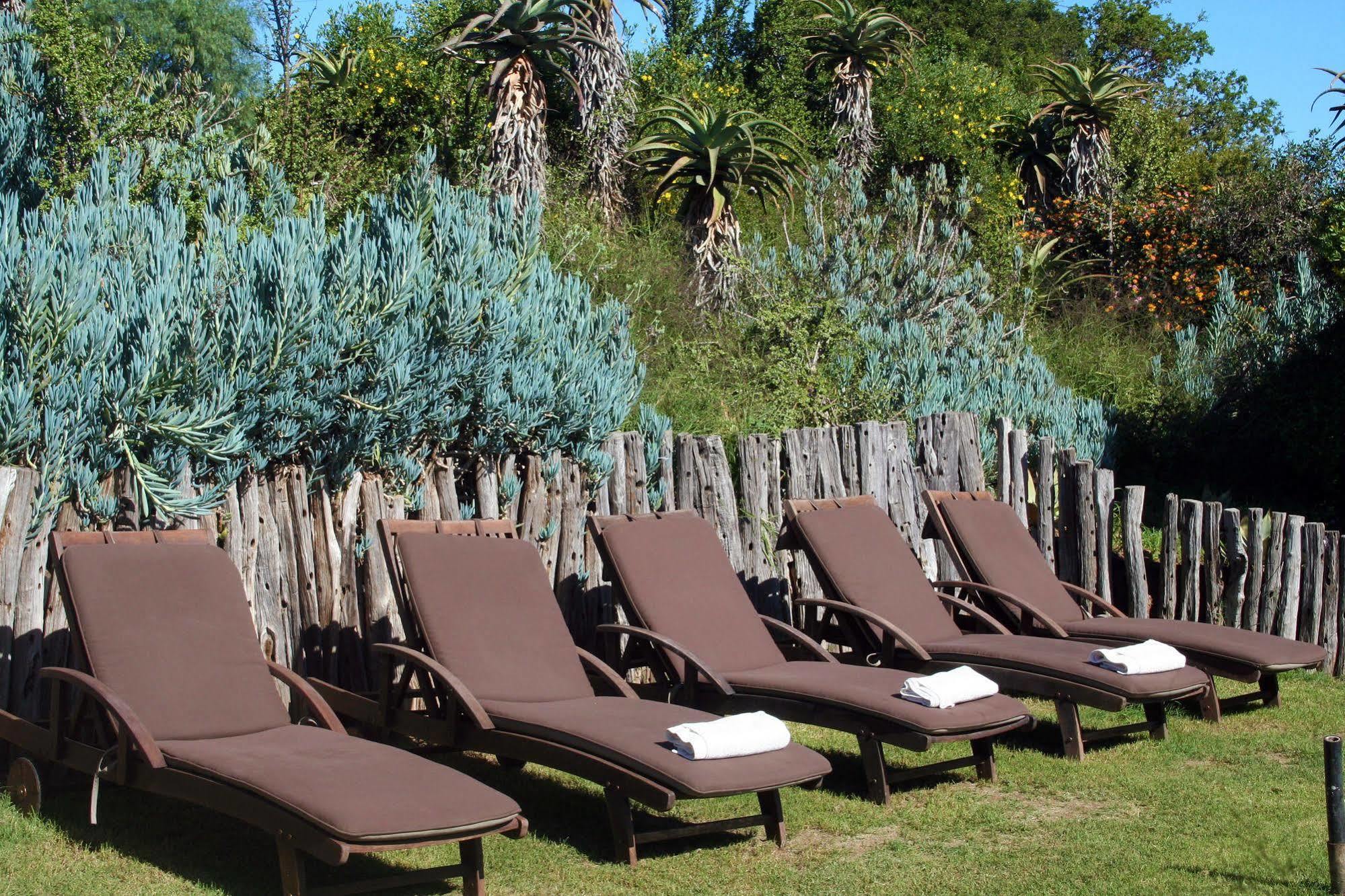 Leeuwenbosch Country House - Reserva de Amakhala Exterior foto