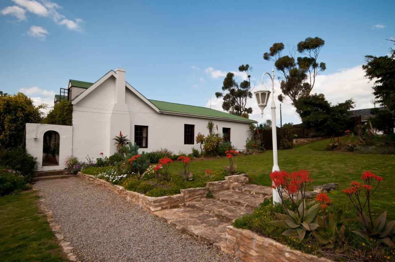 Leeuwenbosch Country House - Reserva de Amakhala Exterior foto